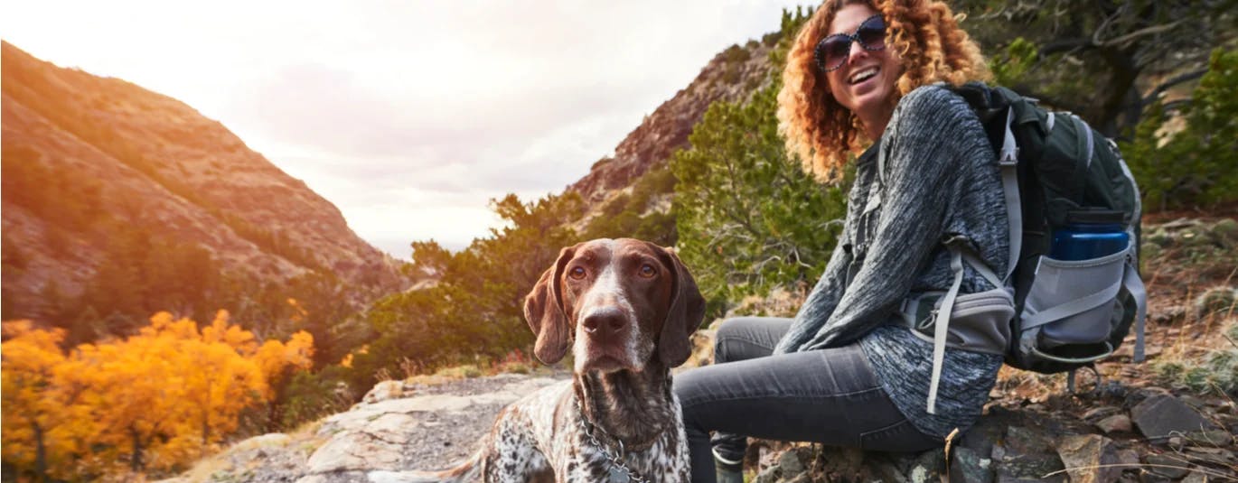 Person hiking with dog